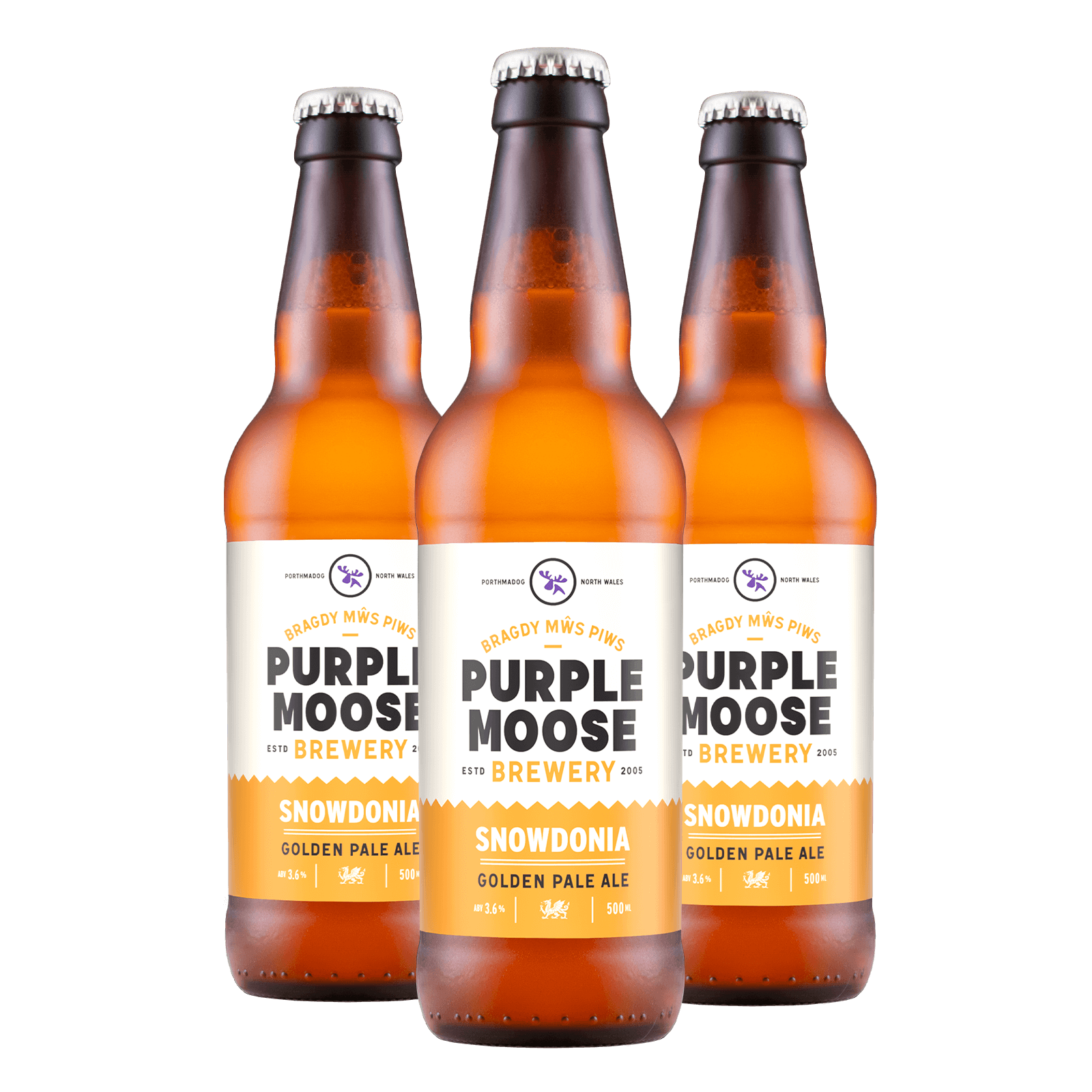 Snowdonia Ale (500ml bottles)