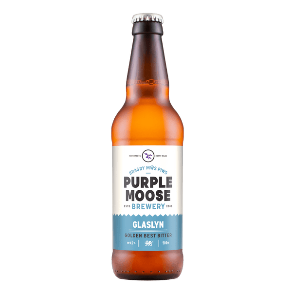 Glaslyn Ale 500ml (4.2% ABV)